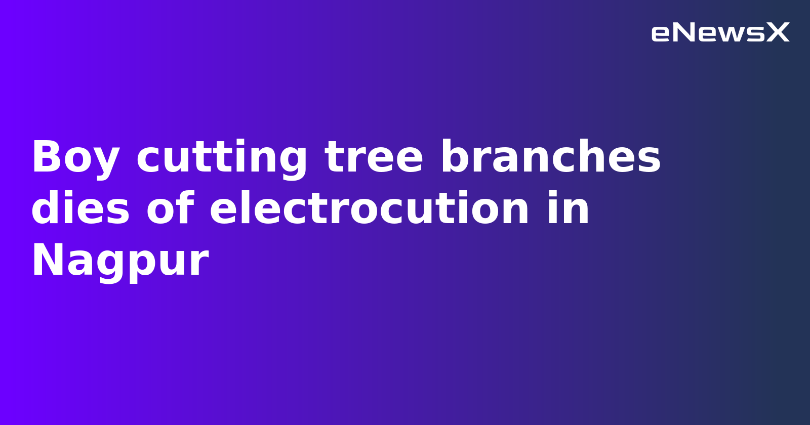 15-Year-Old Boy Electrocuted While Cutting Tree Branches in Nagpur