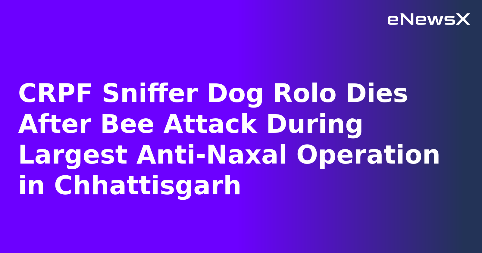 CRPF Sniffer Dog Rolo Dies After Bee Attack During Largest Anti-Naxal Operation in Chhattisgarh