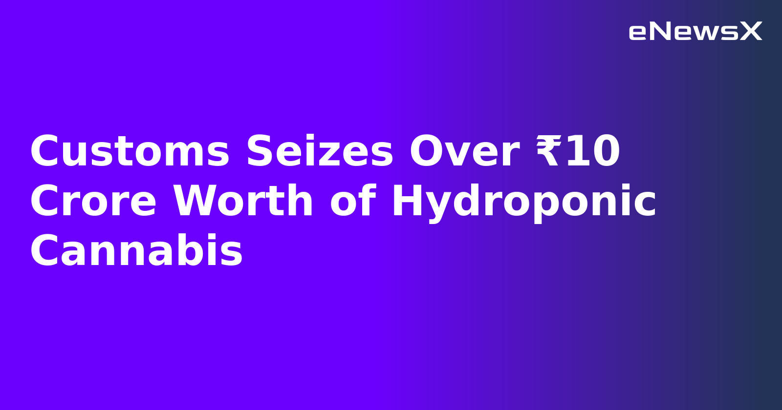 Customs Seizes Over ₹10 Crore Worth of Hydroponic Cannabis.webp