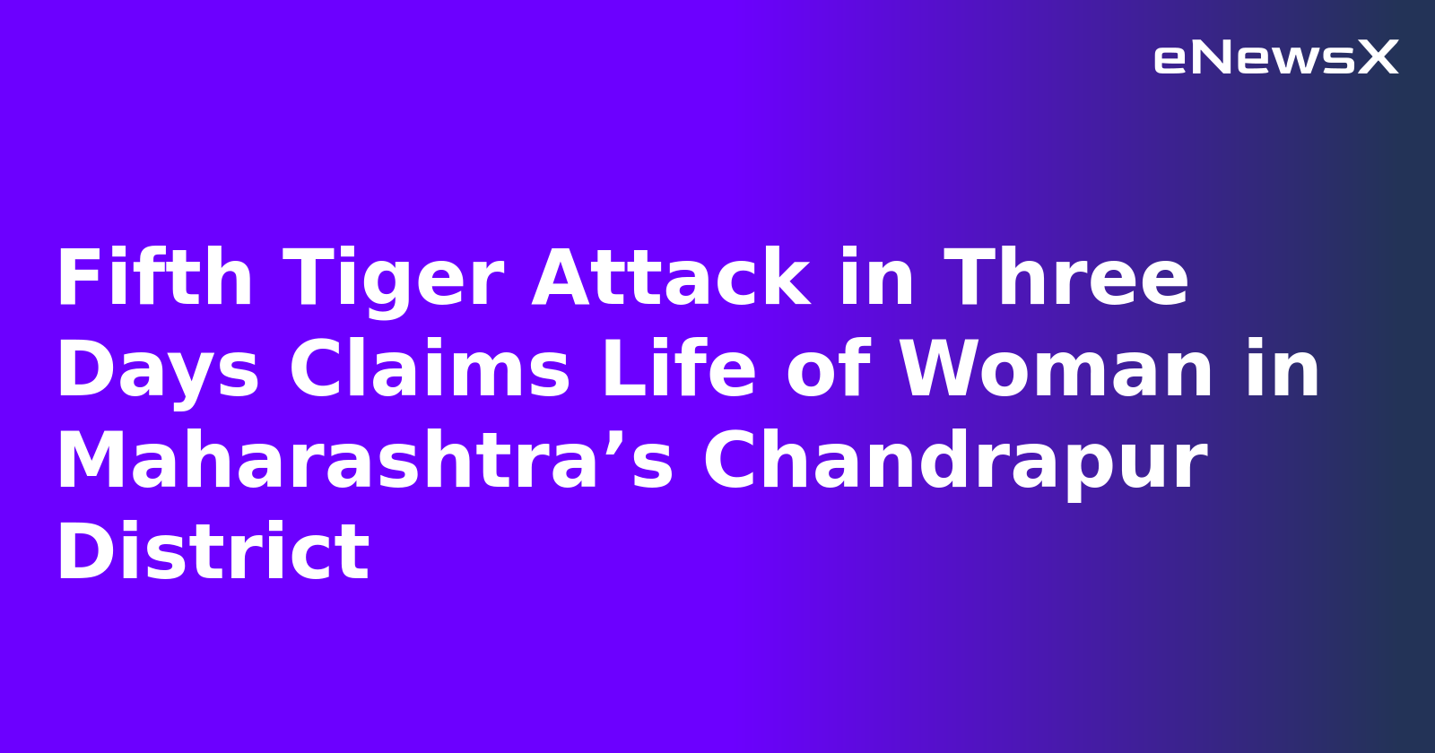 Fifth Tiger Attack in Three Days Claims Life of Woman in Maharashtra’s Chandrapur District.webp