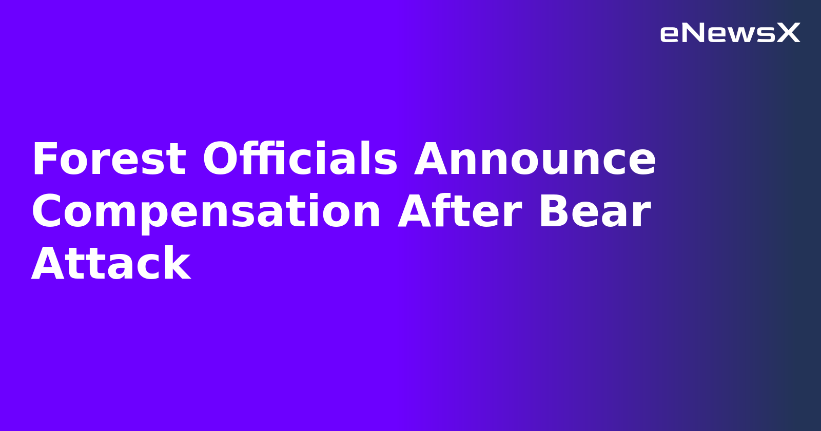 Forest Officials Announce Compensation After Bear Attack