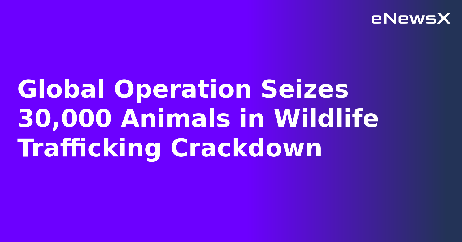 Global Operation Seizes 30,000 Animals in Wildlife Trafficking Crackdown