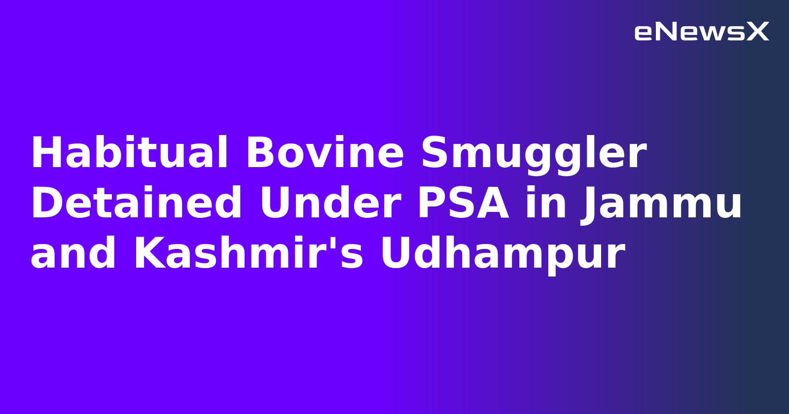Habitual Bovine Smuggler Detained Under PSA in Jammu and Kashmir's Udhampur