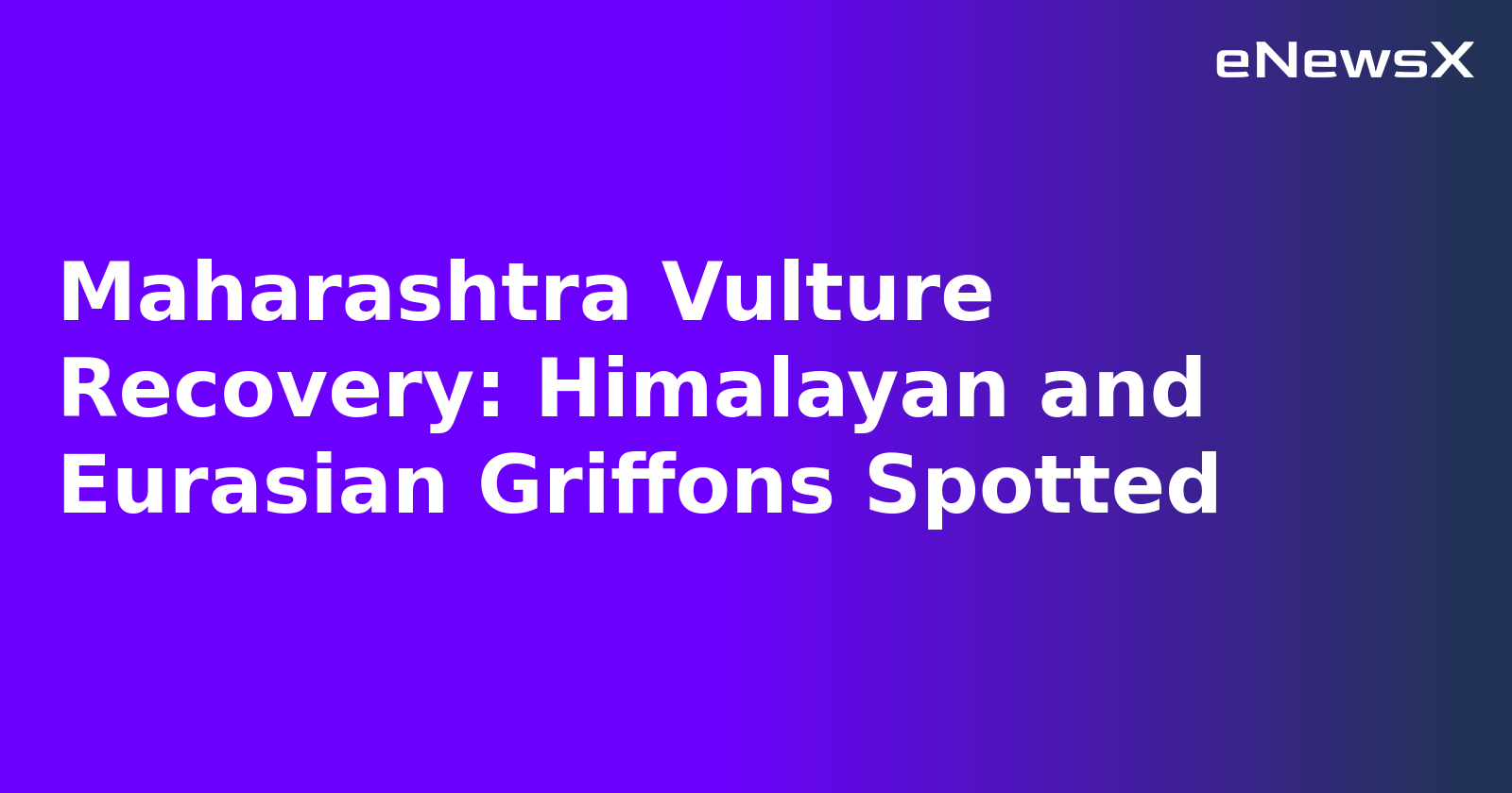 Maharashtra Vulture Recovery: Himalayan and Eurasian Griffons Spotted.webp
