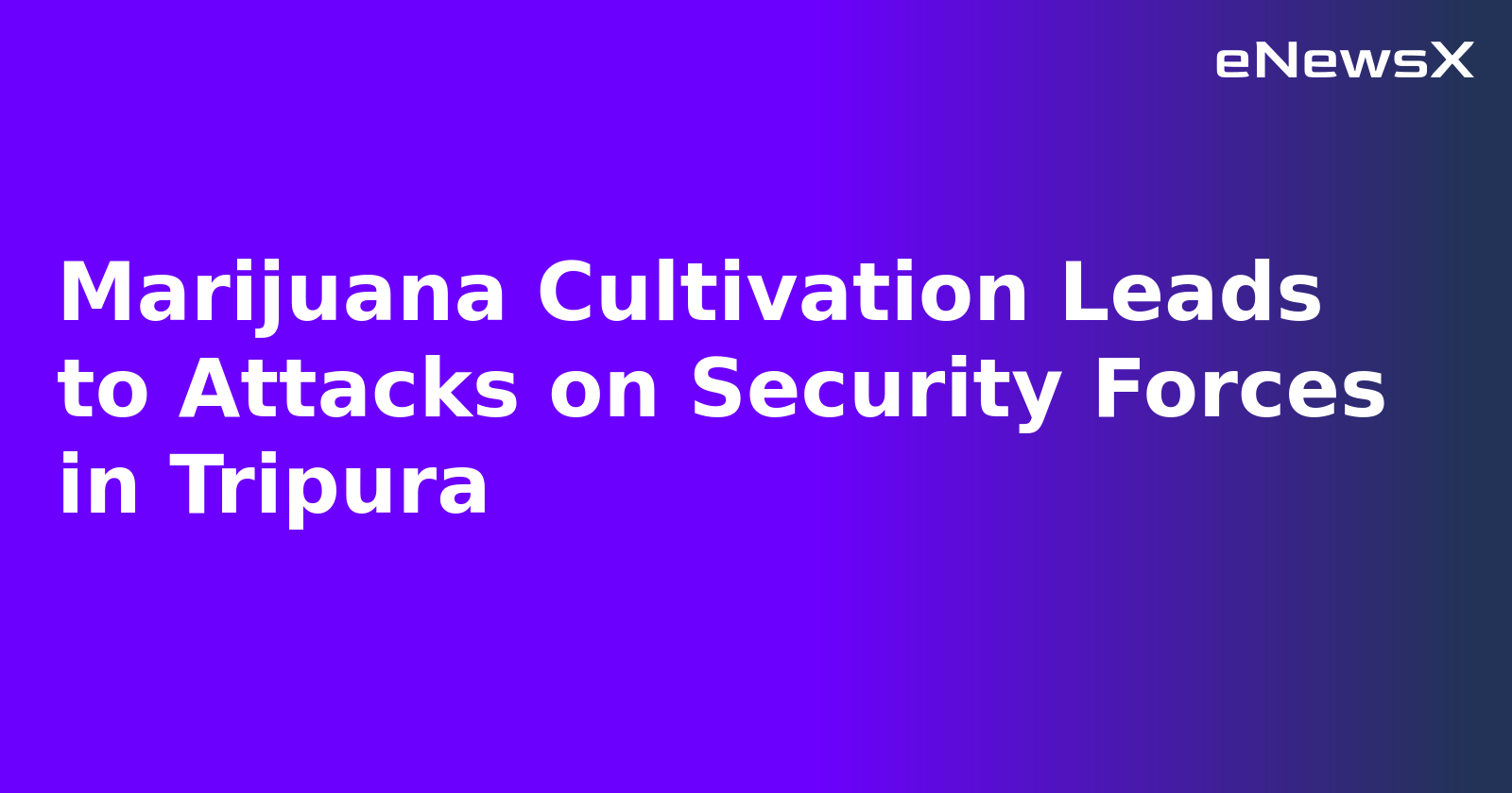 Marijuana Cultivation Leads to Attacks on Security Forces in Tripura.webp