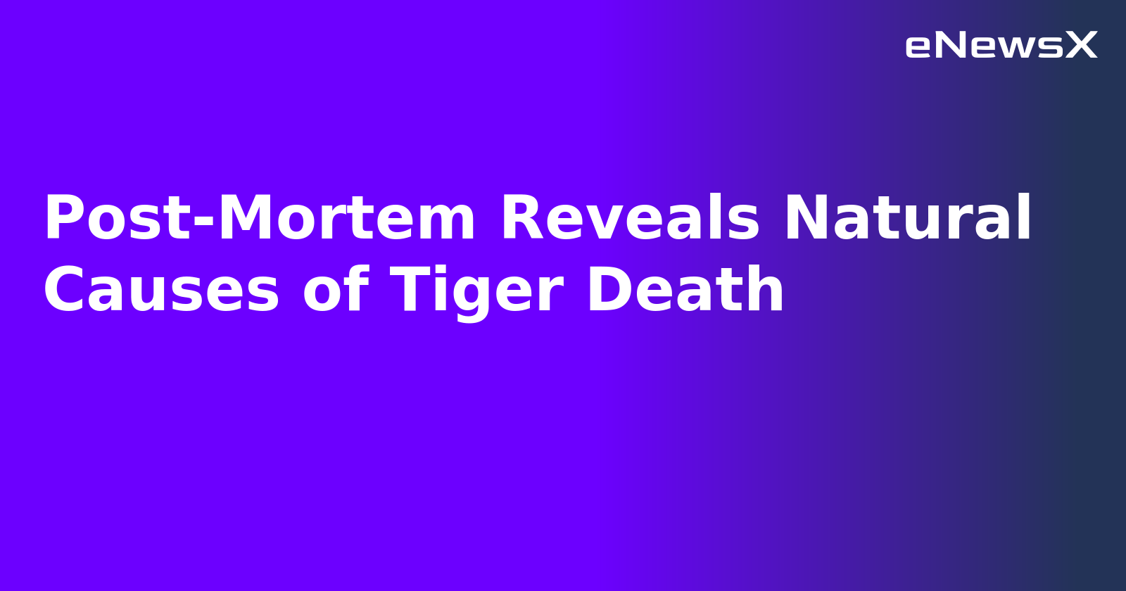 Post-Mortem Reveals Natural Causes of Tiger Death