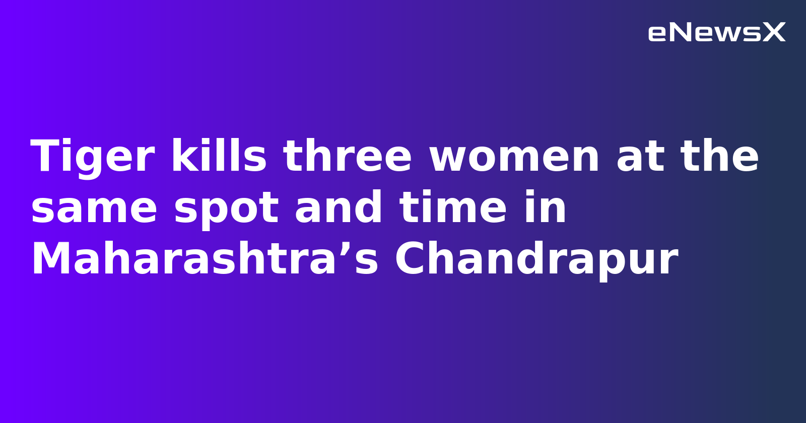 Tiger Kills Three Women in Maharashtra’s Chandrapur, Another Injured in Separate Attack