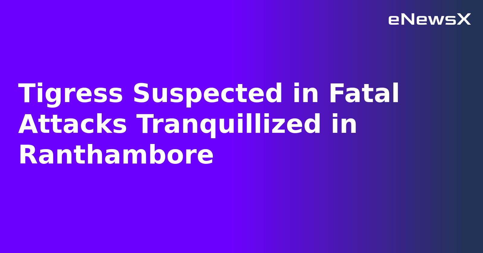 Tigress Suspected in Fatal Attacks Tranquillized in Ranthambore