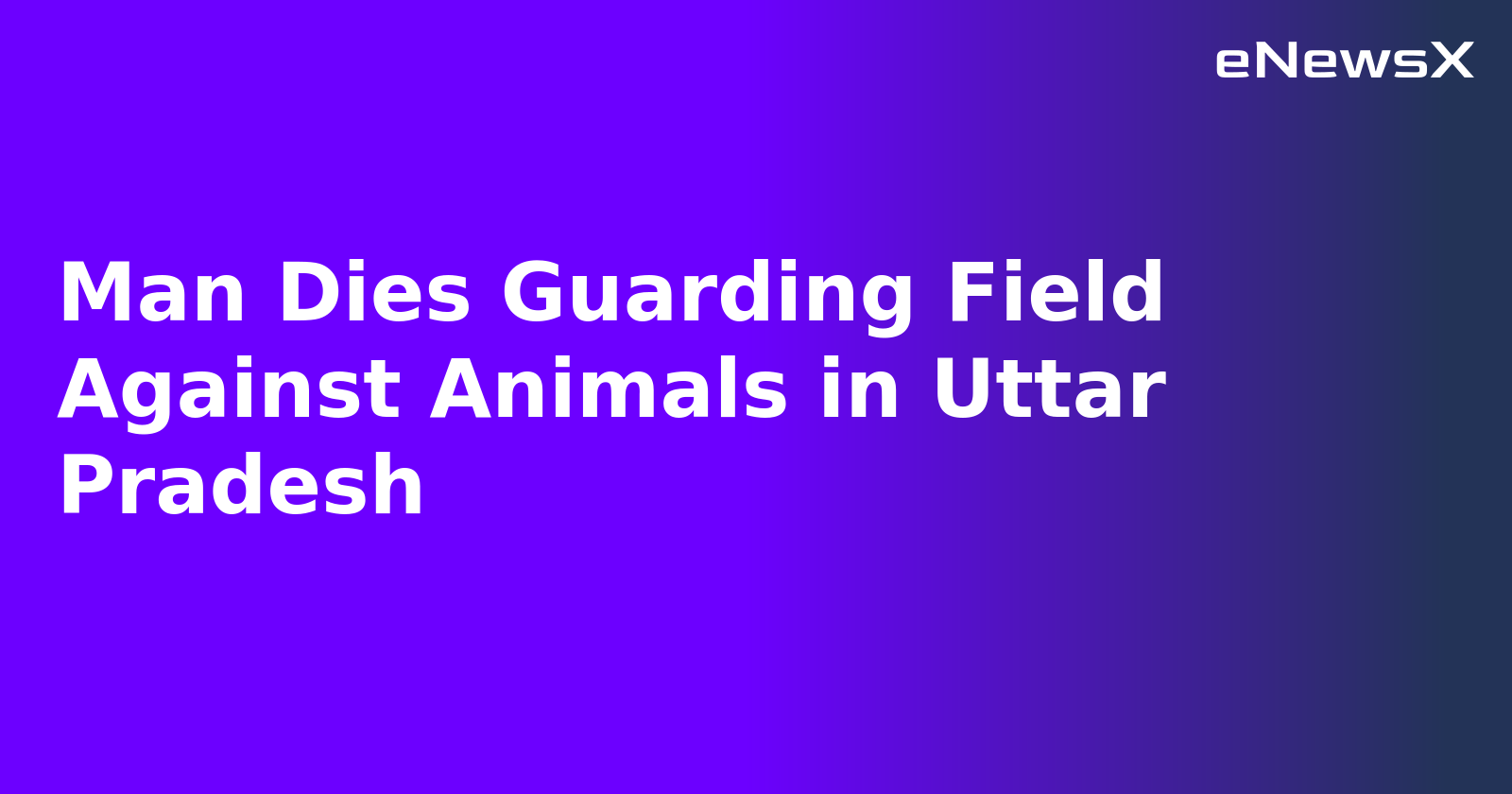 Man Dies Guarding Field Against Animals in Uttar Pradesh.webp