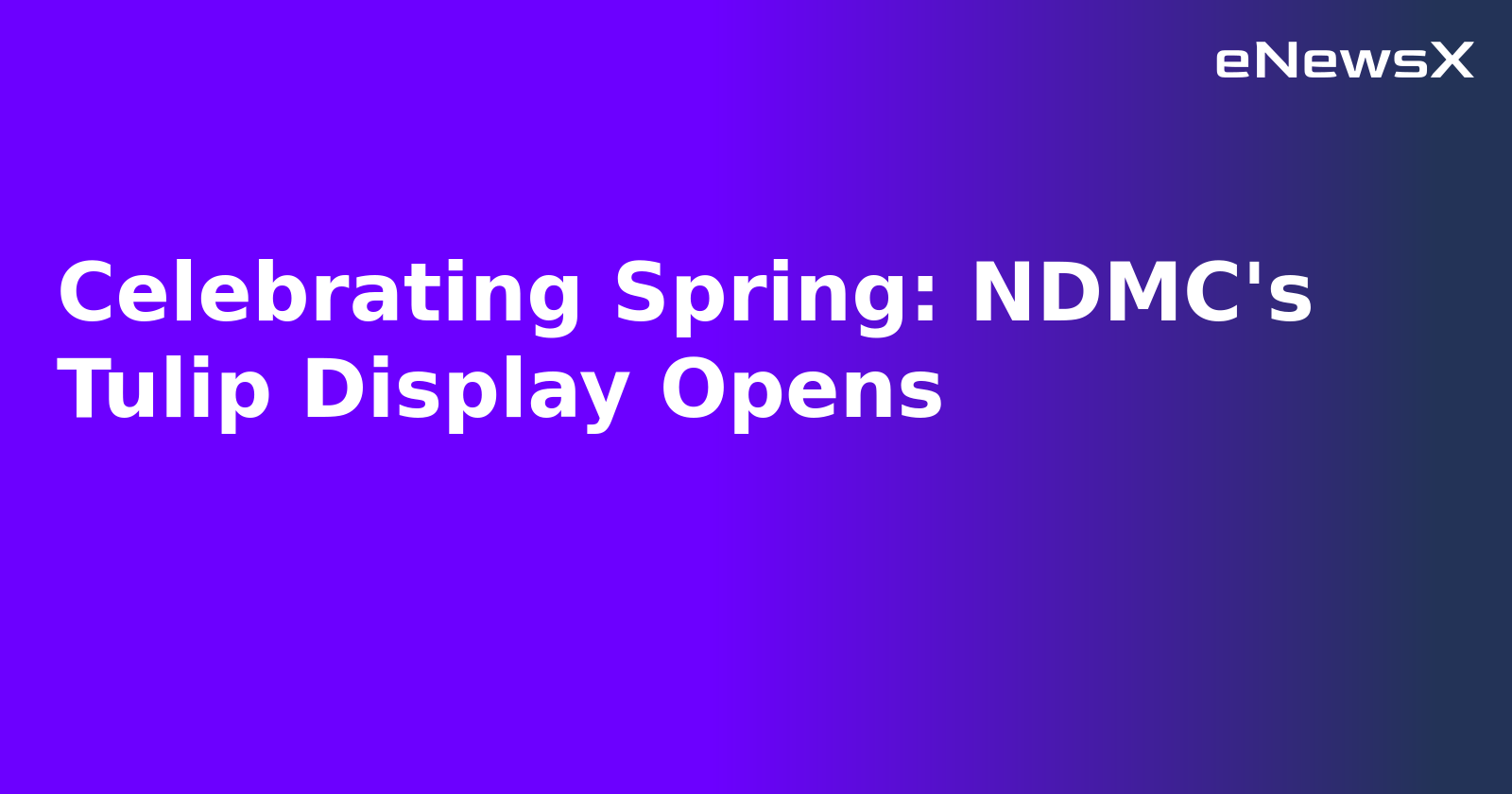 Celebrating Spring: NDMC's Tulip Display Opens.webp