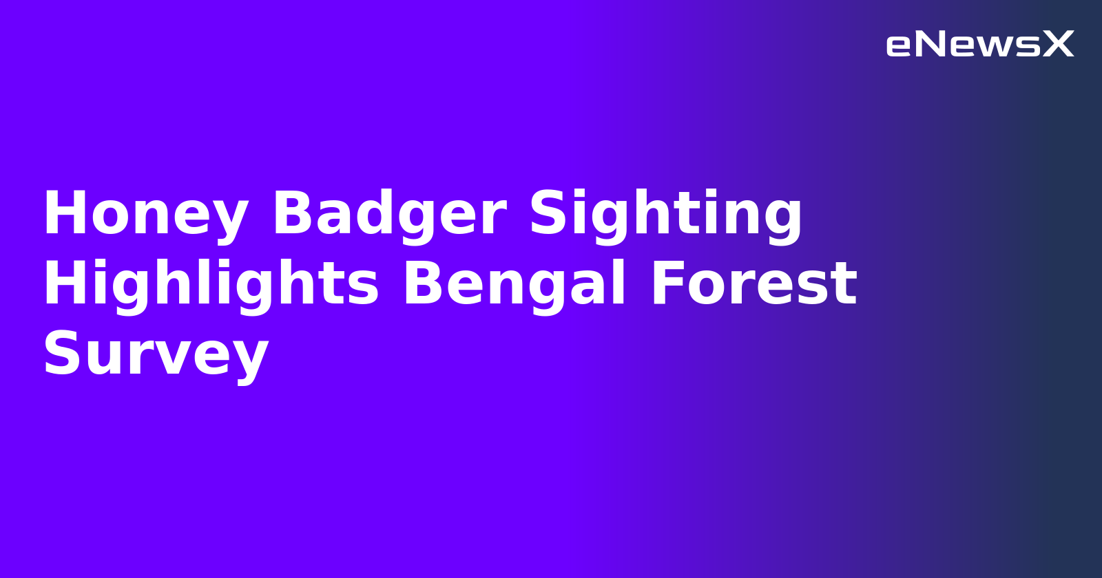 Honey Badger Sighting Highlights Bengal Forest Survey.webp