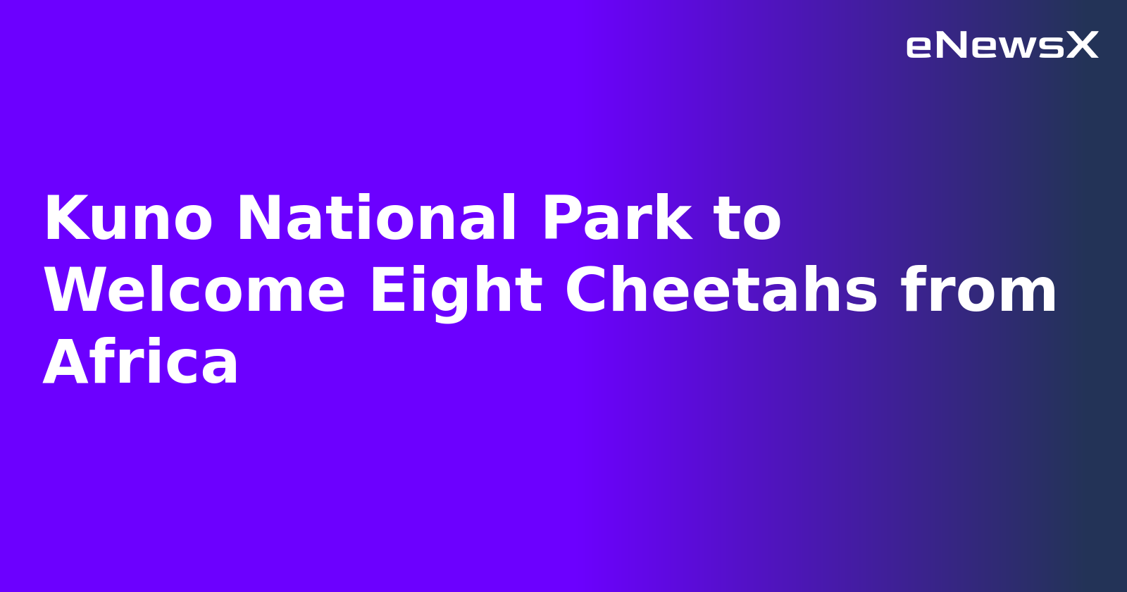 Kuno National Park to Welcome Eight Cheetahs from Africa.webp