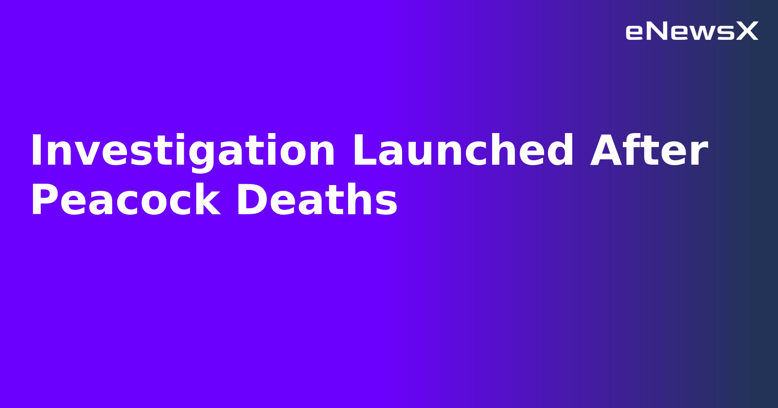 Investigation Launched After Peacock Deaths.webp