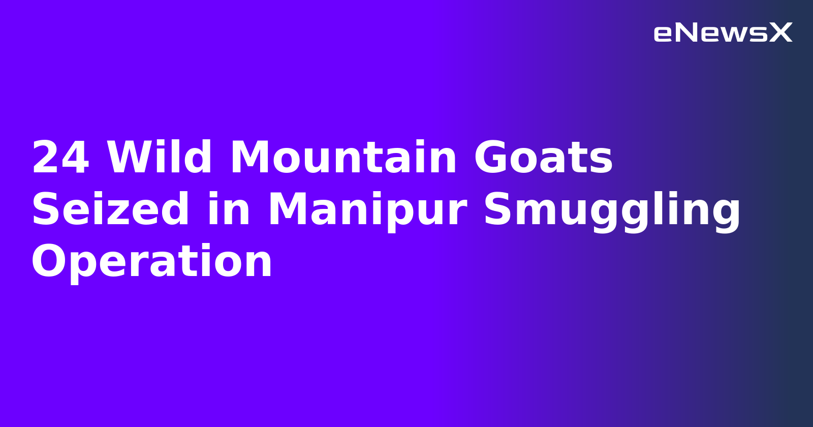 24 Wild Mountain Goats Seized in Manipur Smuggling Operation.webp 24 Wild Mountain Goats Seized in Manipur Smuggling Operation.webp
