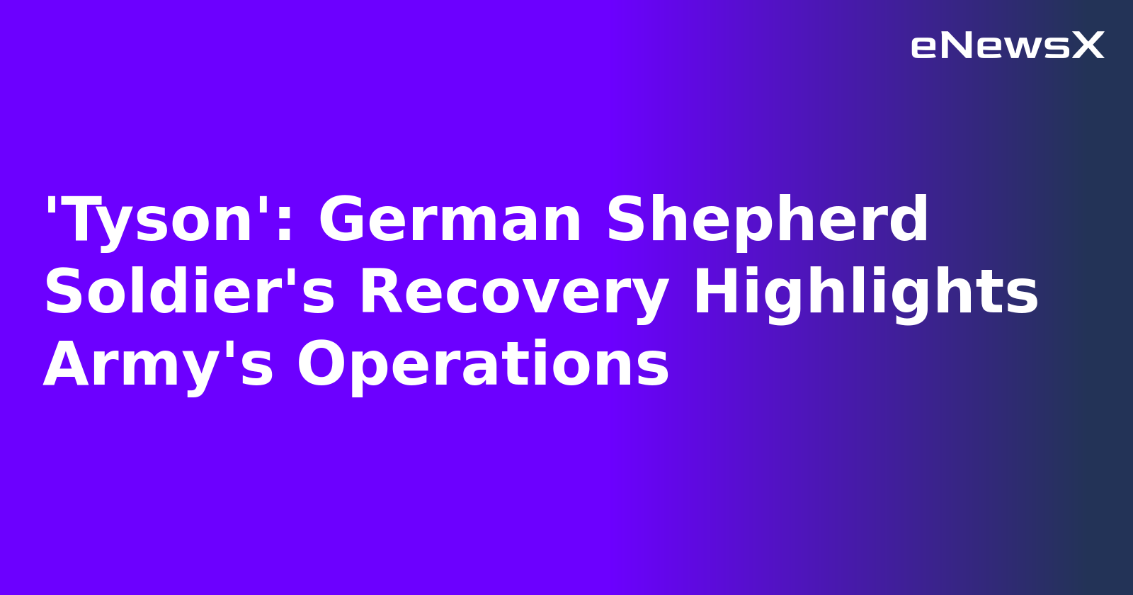 'Tyson': German Shepherd Soldier's Recovery Highlights Army's Operations.webp