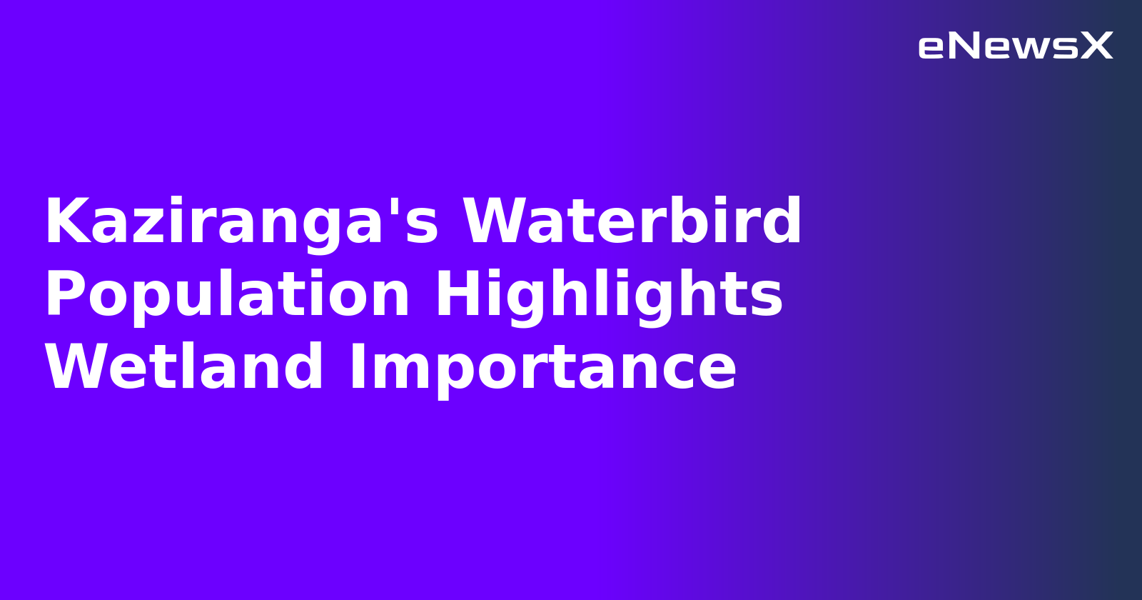 Kaziranga's Waterbird Population Highlights Wetland Importance
