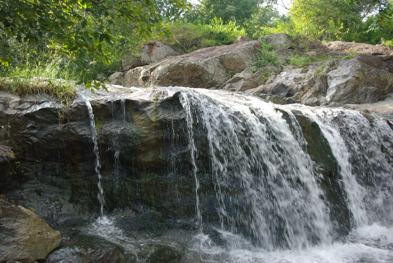 Tamil Nadu Promotes Sustainable Tourism with Jawadhu Hills Project.webp