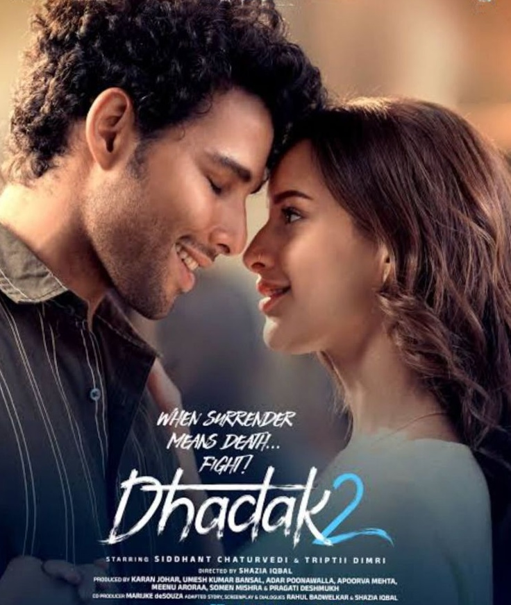 Karan Johar Celebrates Dhadak 2's Academic Screening.webp