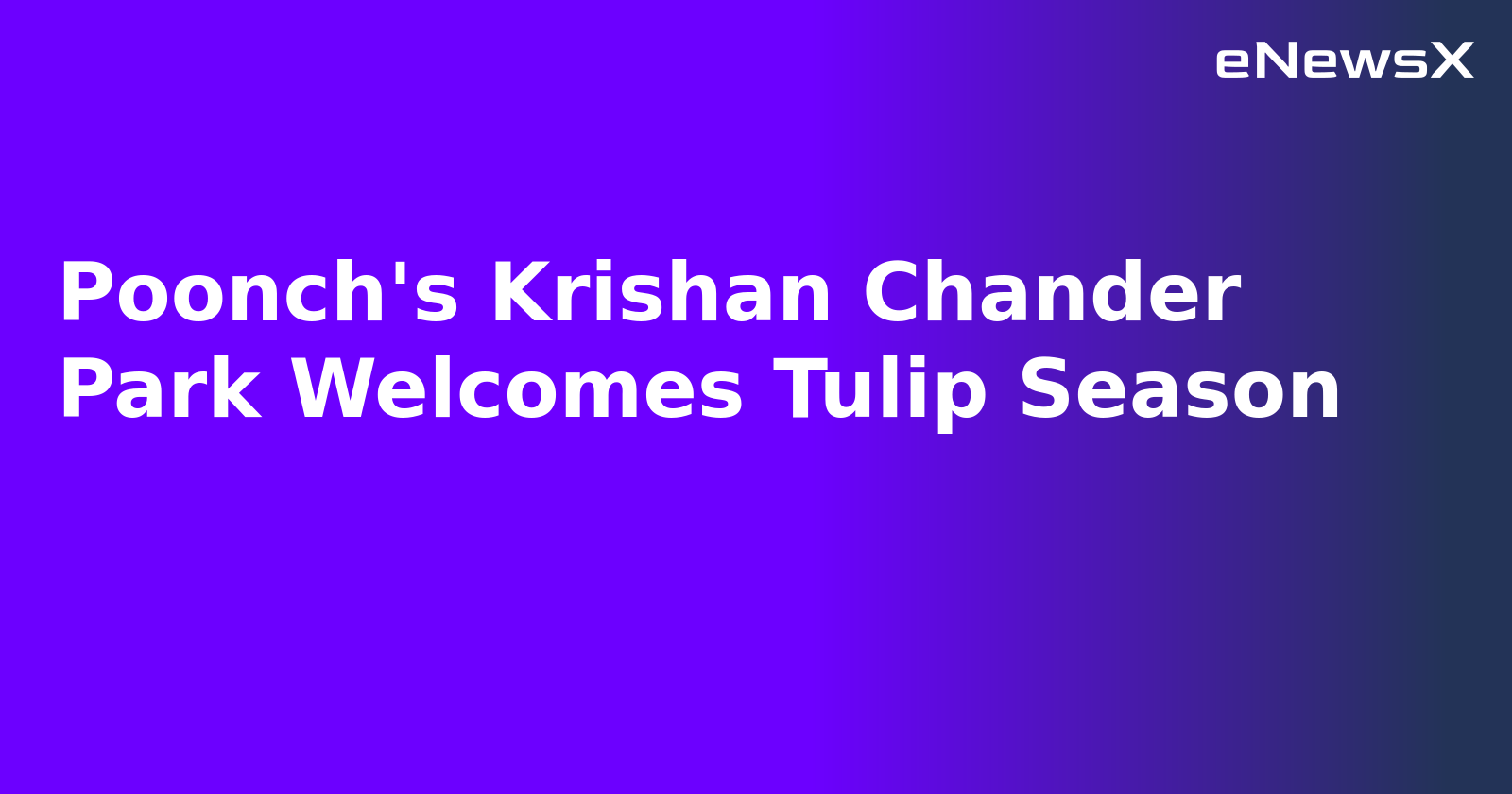 Poonch's Krishan Chander Park Welcomes Tulip Season.webp Poonch's Krishan Chander Park Welcomes Tulip Season.webp