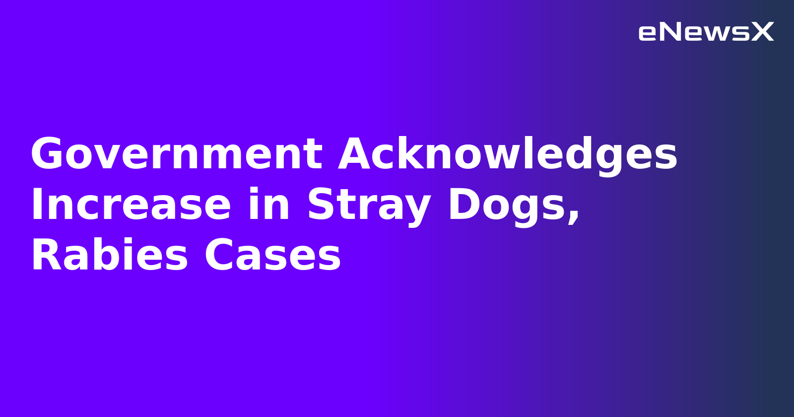 Government Acknowledges Increase in Stray Dogs, Rabies Cases.webp