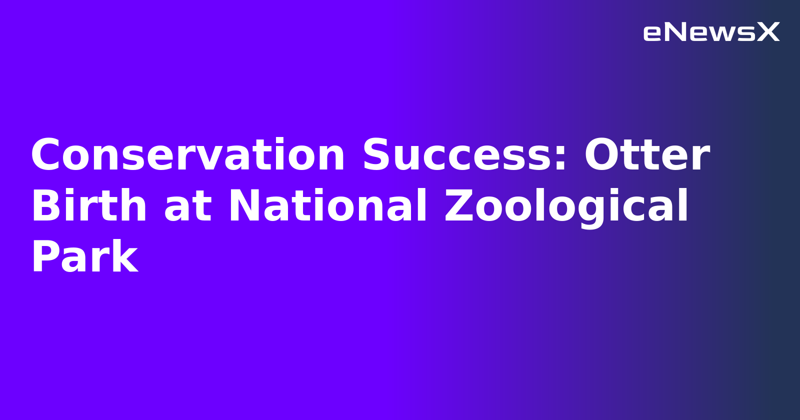 Conservation Success: Otter Birth at National Zoological Park.webp