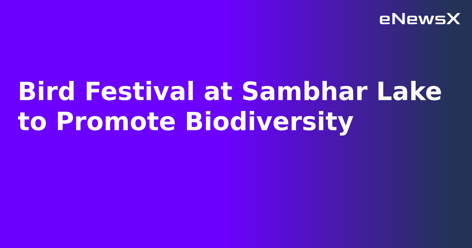 Bird Festival at Sambhar Lake to Promote Biodiversity.webp Bird Festival at Sambhar Lake to Promote Biodiversity.webp