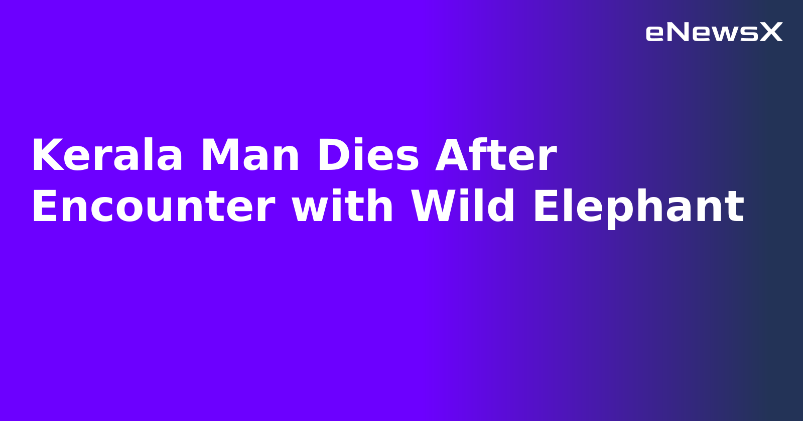 Kerala Man Dies After Encounter with Wild Elephant.webp