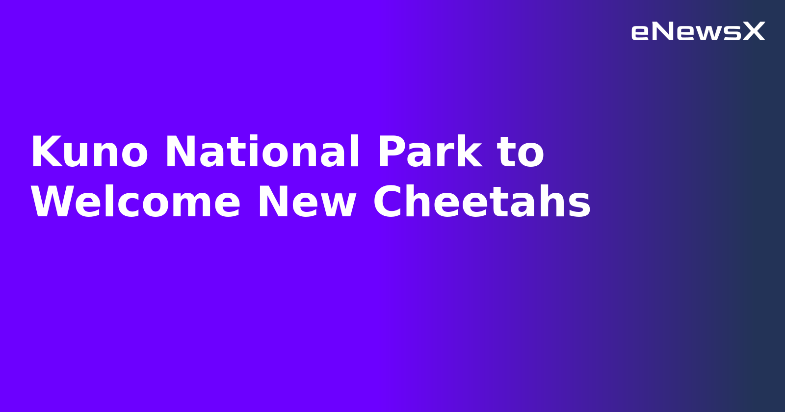 Kuno National Park to Welcome New Cheetahs.webp