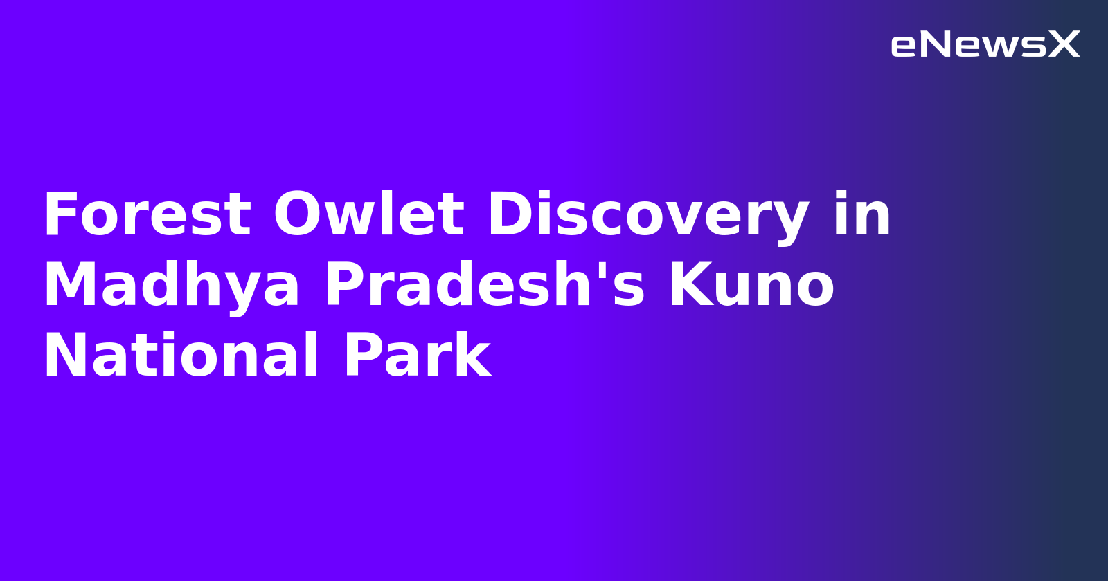 Forest Owlet Discovery in Madhya Pradesh's Kuno National Park.webp