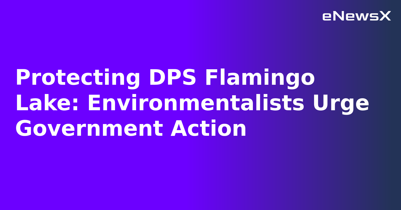 Protecting DPS Flamingo Lake: Environmentalists Urge Government Action.webp