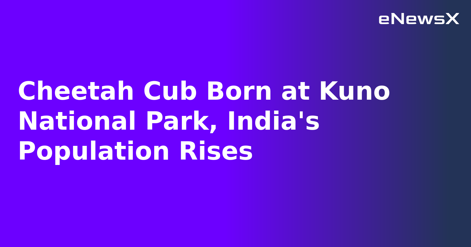 Cheetah Cub Born at Kuno National Park, India's Population Rises.webp