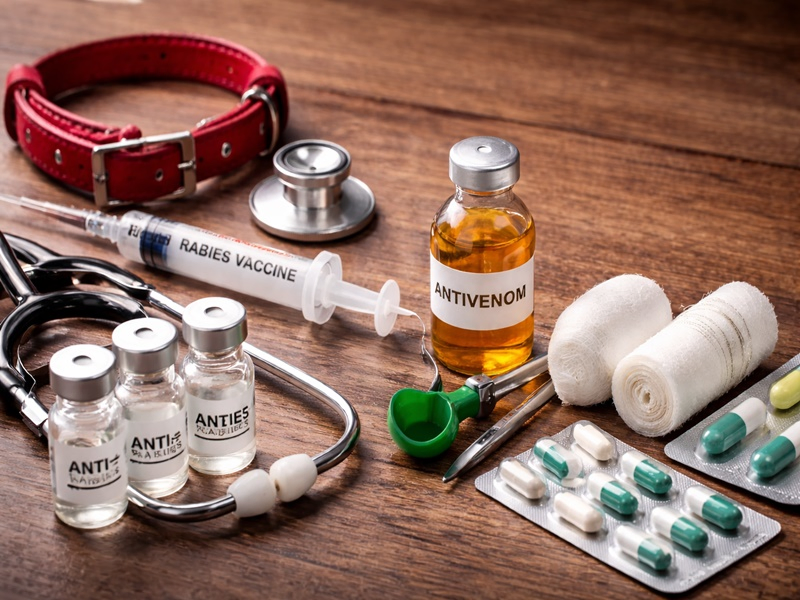 Karnataka Launches Plans to Eliminate Rabies and Reduce Snakebite Deaths.webp Karnataka Launches Plans to Eliminate Rabies and Reduce Snakebite Deaths.webp