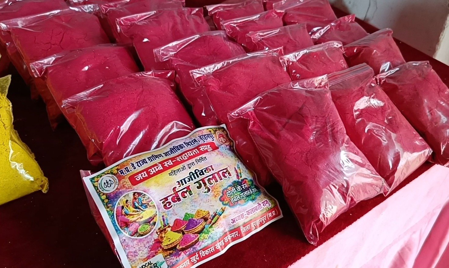 Madhya Pradesh Fair Showcases Eco-Friendly Holi Preparations