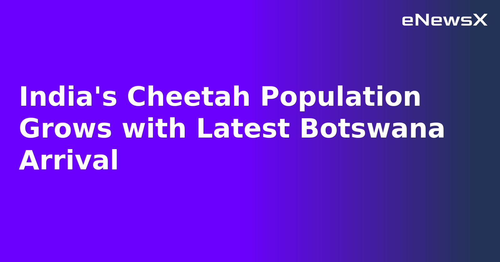 India's Cheetah Population Grows with Latest Botswana Arrival