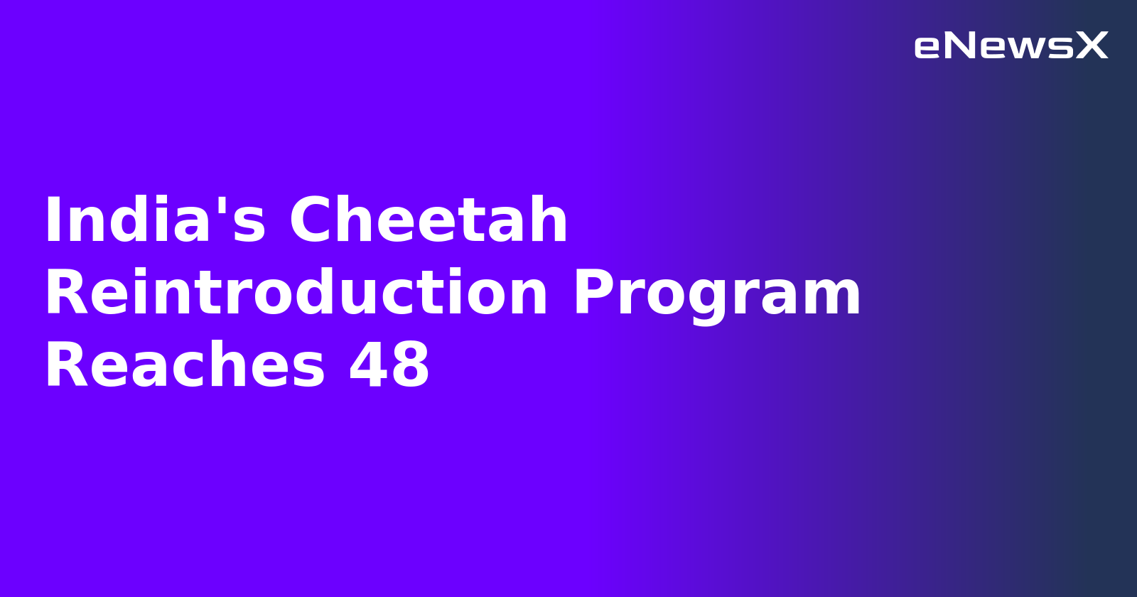 India's Cheetah Reintroduction Program Reaches 48.webp