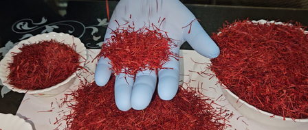 Geographical Indication Status Boosts J&K Produce.webp