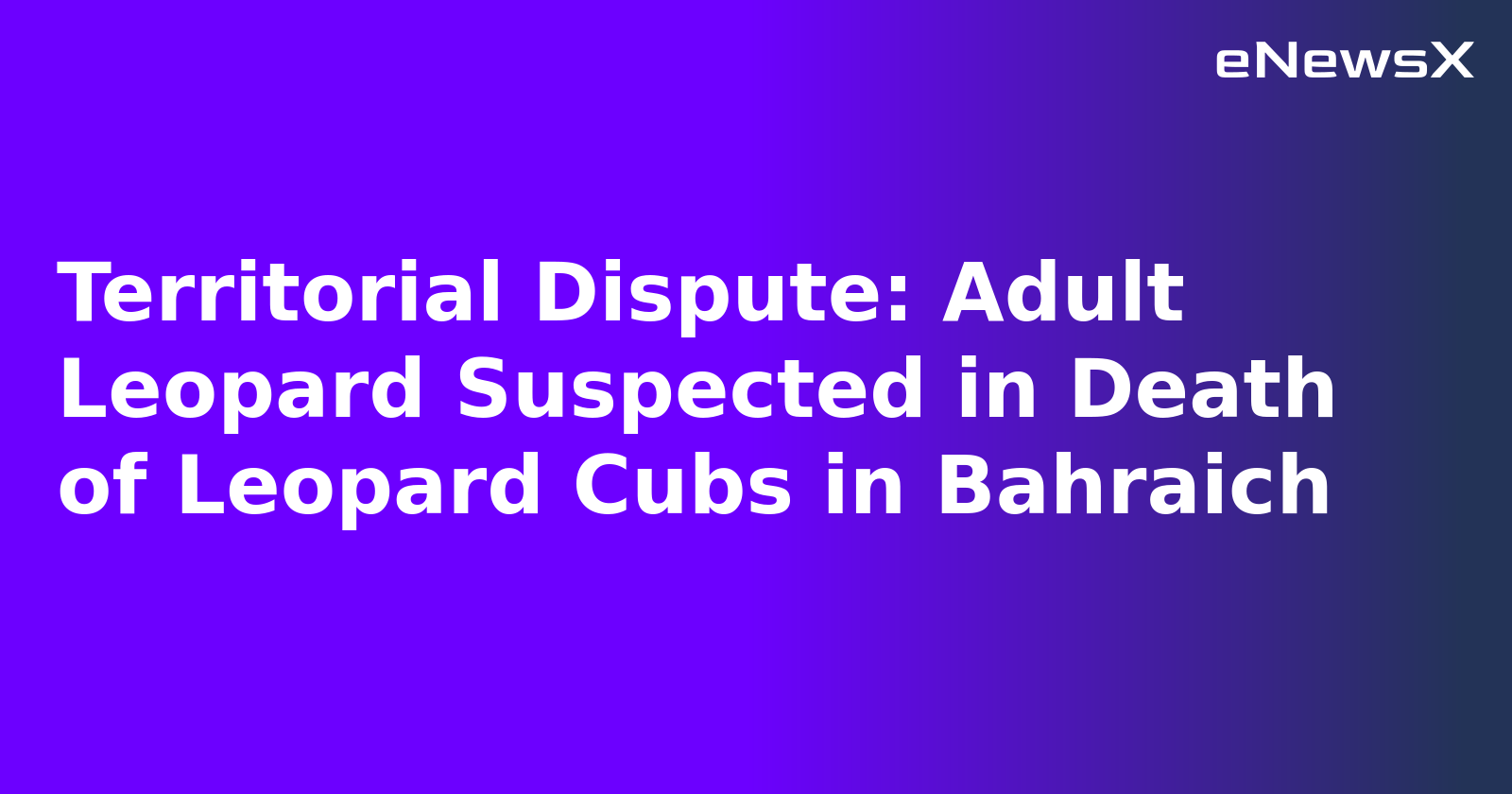 Territorial Dispute: Adult Leopard Suspected in Death of Leopard Cubs in Bahraich