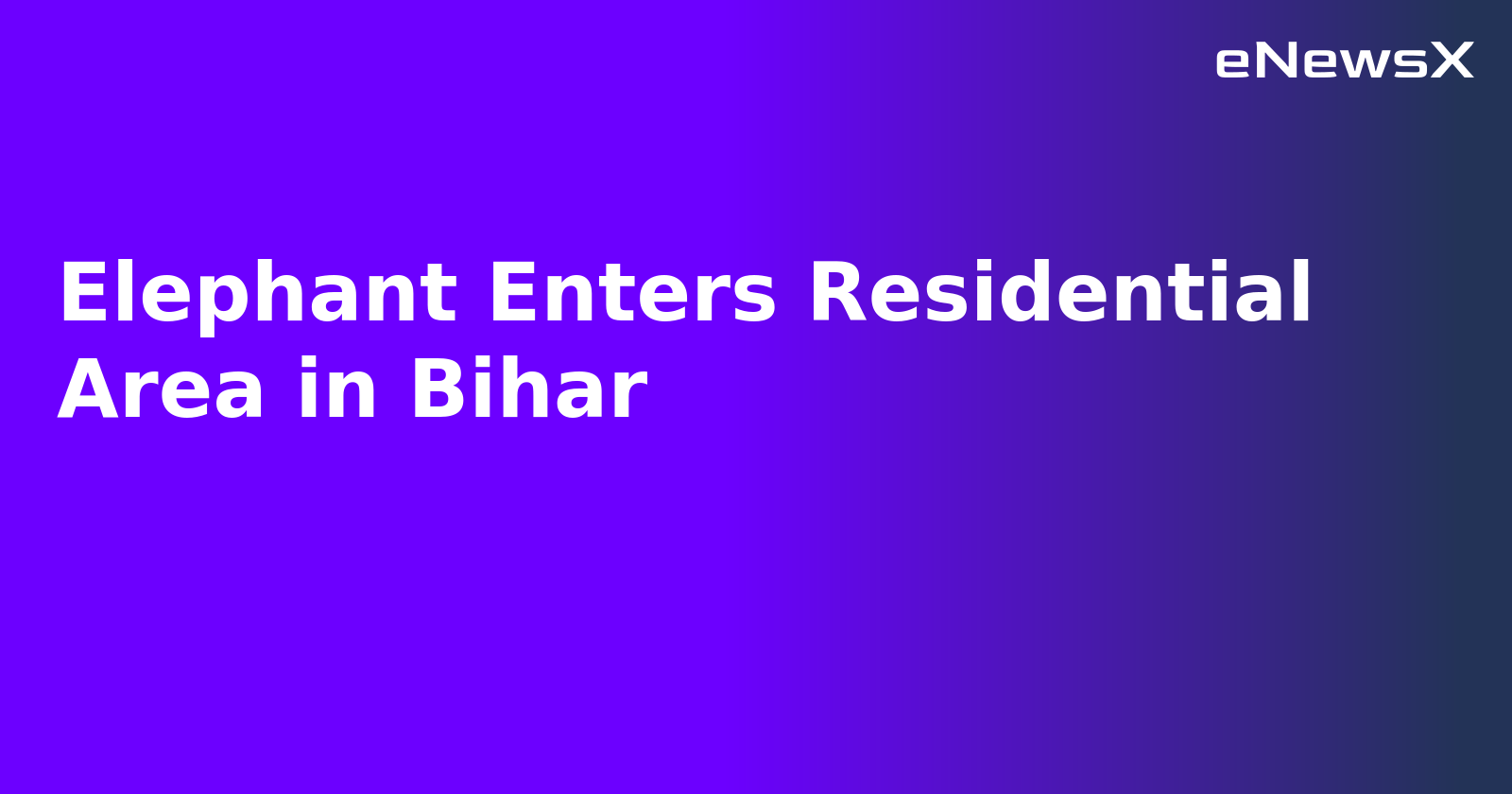 Elephant Enters Residential Area in Bihar.webp