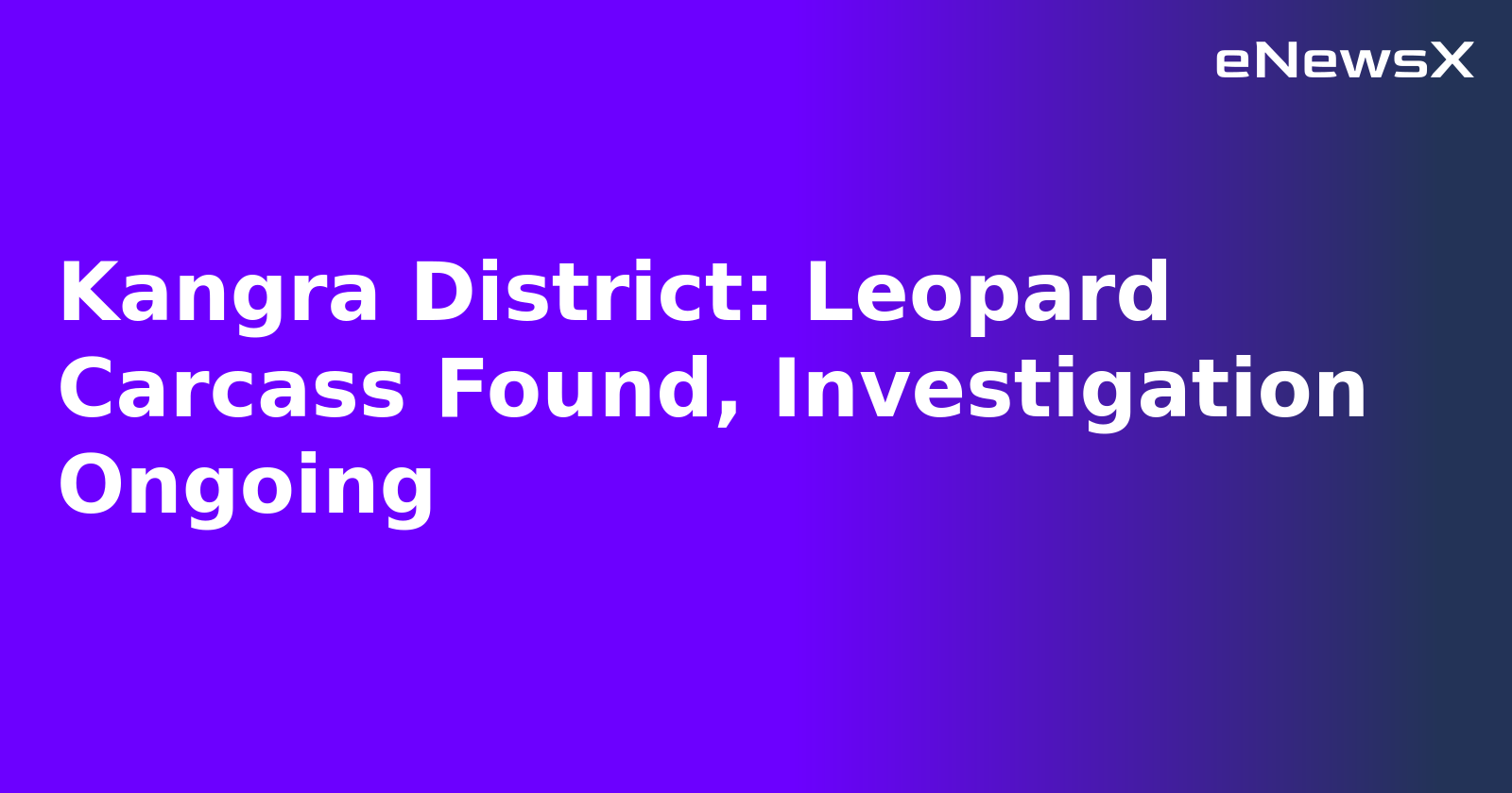 Kangra District: Leopard Carcass Found, Investigation Ongoing.webp Kangra District: Leopard Carcass Found, Investigation Ongoing.webp
