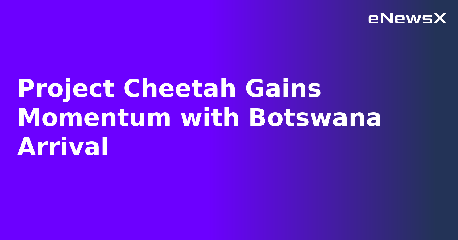 Project Cheetah Gains Momentum with Botswana Arrival.webp