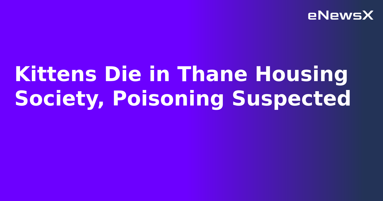 Kittens Die in Thane Housing Society, Poisoning Suspected