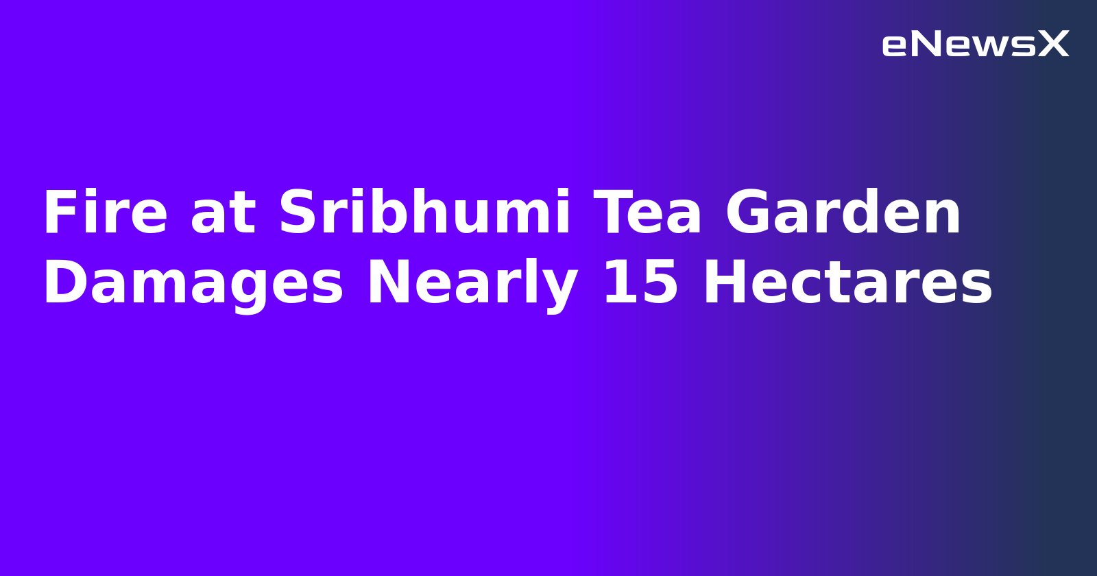 Fire at Sribhumi Tea Garden Damages Nearly 15 Hectares.webp