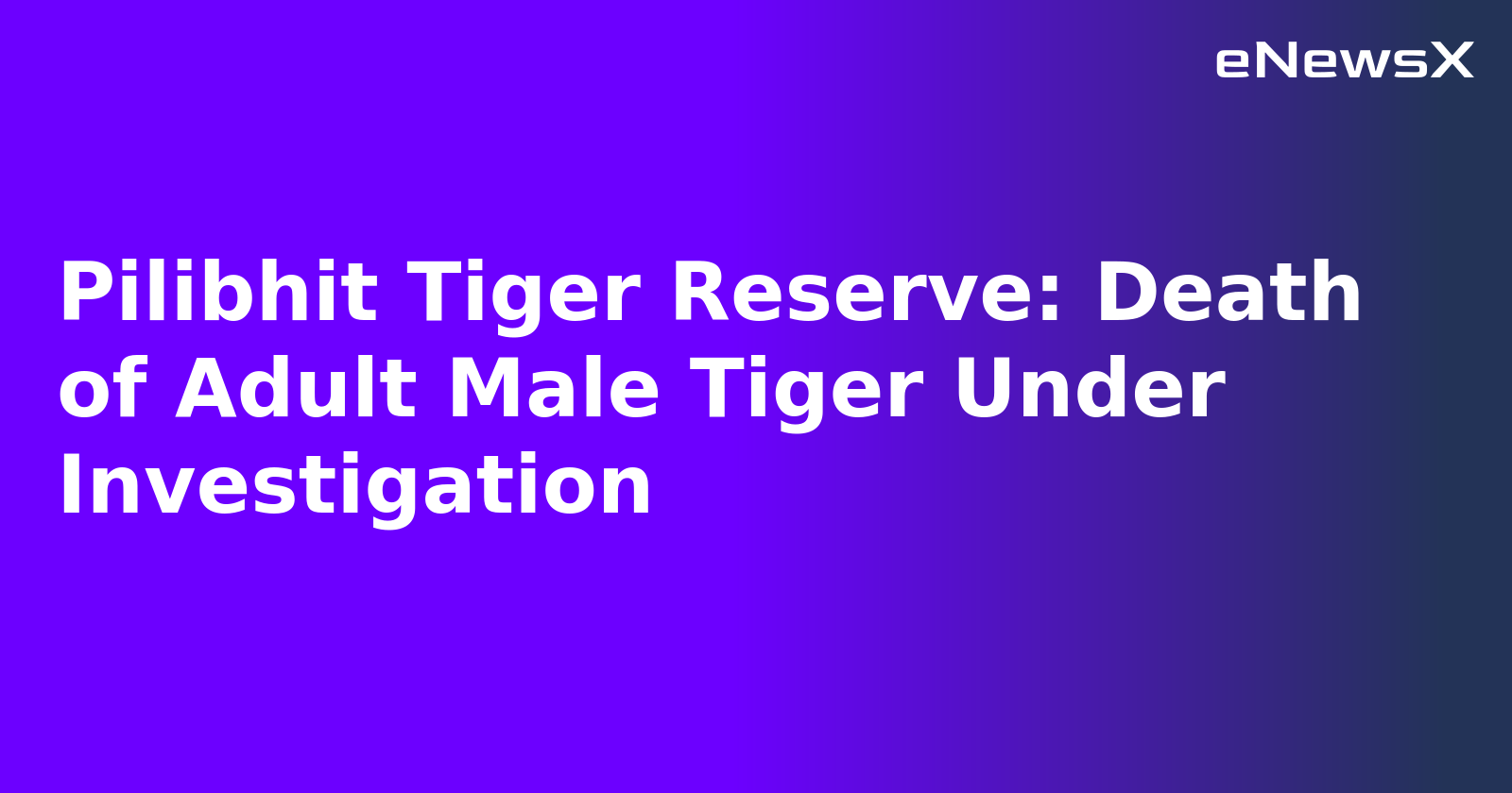 Pilibhit Tiger Reserve: Death of Adult Male Tiger Under Investigation.webp