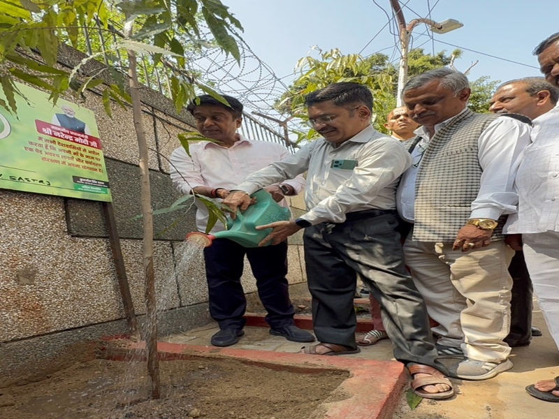 NDMC Expands 'One Tree for Mother' Initiative with Community Participation.webp