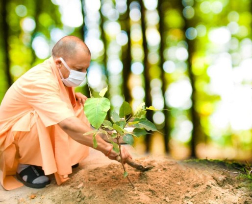 Green State Initiative: Uttar Pradesh's Plantation Efforts Reach Record Levels.webp