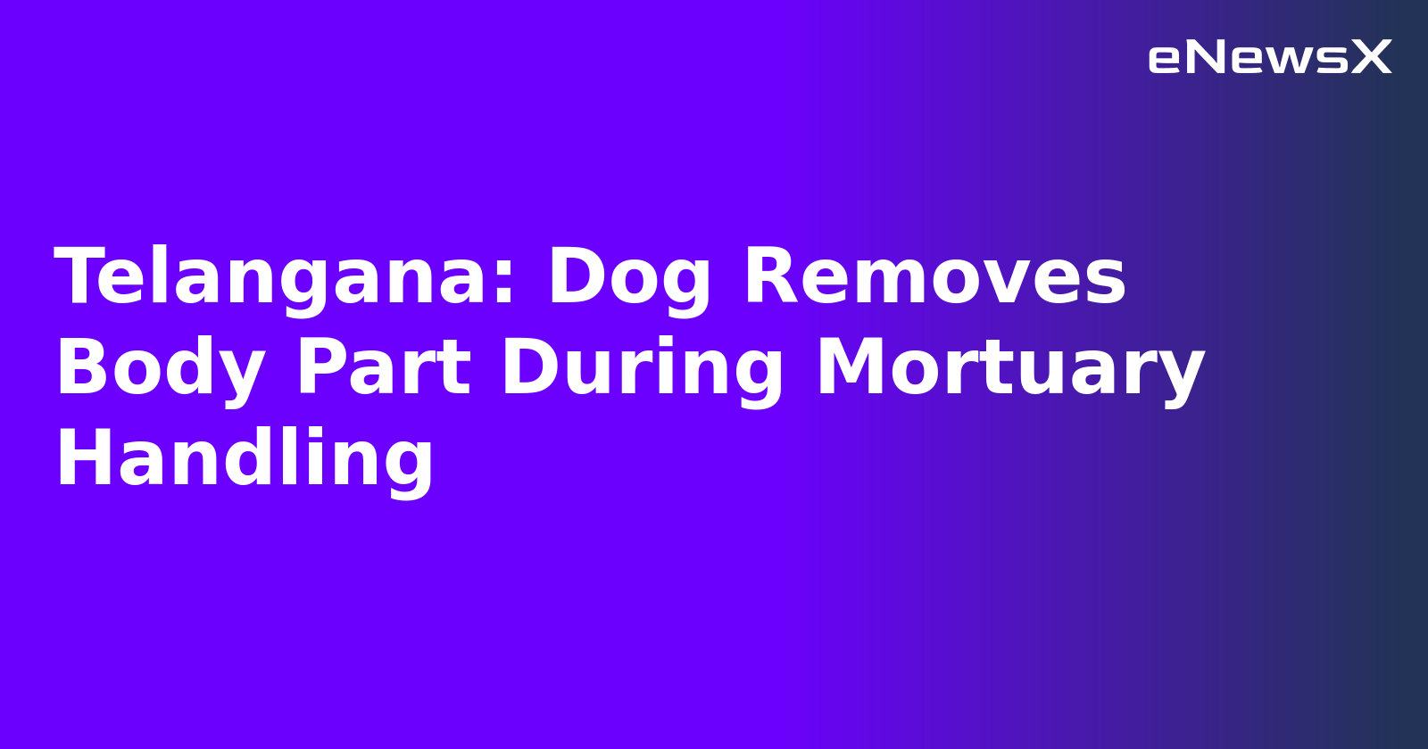Telangana: Dog Removes Body Part During Mortuary Handling.webp