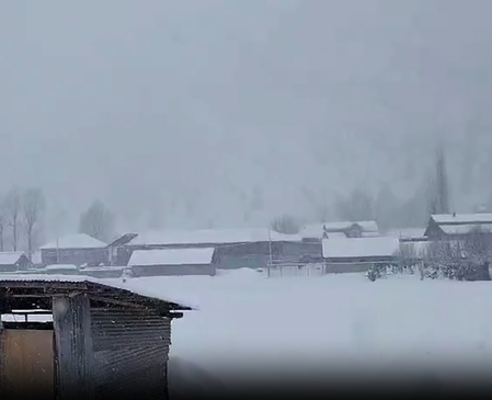 India Weather: IMD Issues Forecast for Rain, Fog, and Temperature Rise.webp