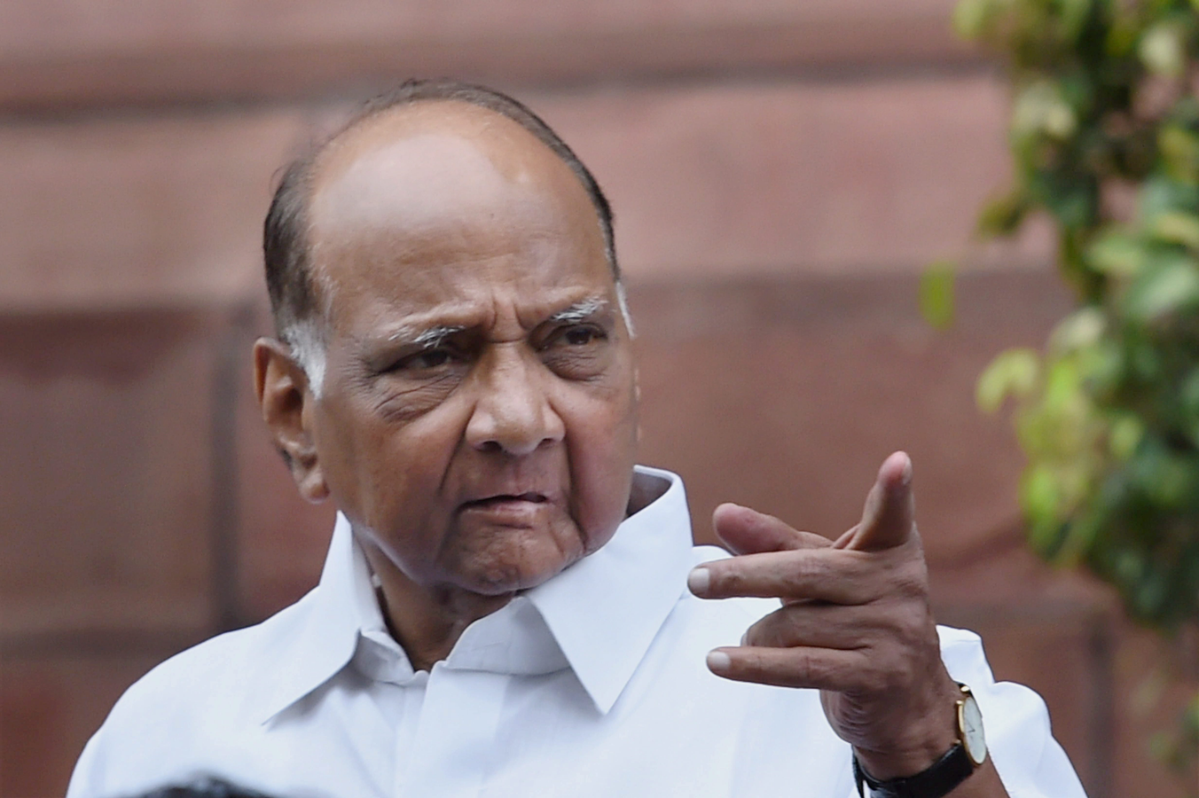 RS Polls: Pawar to Return as Opposition Bloc's Choice.webp RS Polls: Pawar to Return as Opposition Bloc's Choice.webp