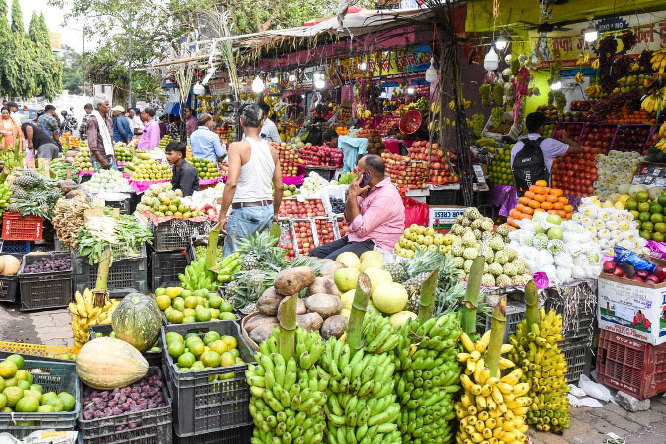Kerala's Fruit Exports Halt Amidst Gulf Region Instability.webp