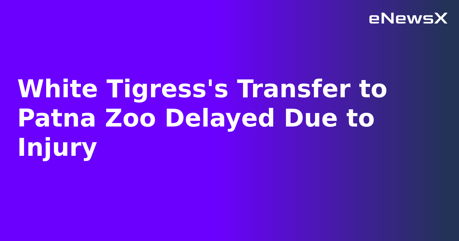 White Tigress's Transfer to Patna Zoo Delayed Due to Injury.webp